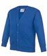 Academy Royal Blue